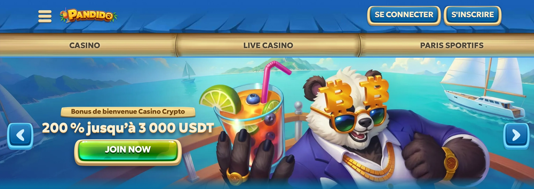 Aperçu du site Pandido