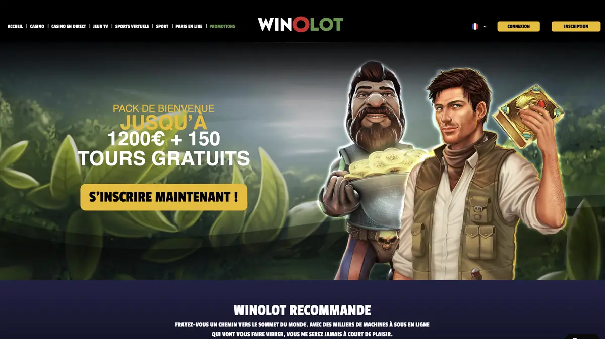 Aperçu du site Winolot